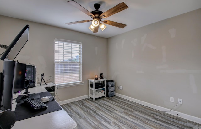 office space with ceiling fan and light hardwood / wood-style flooring