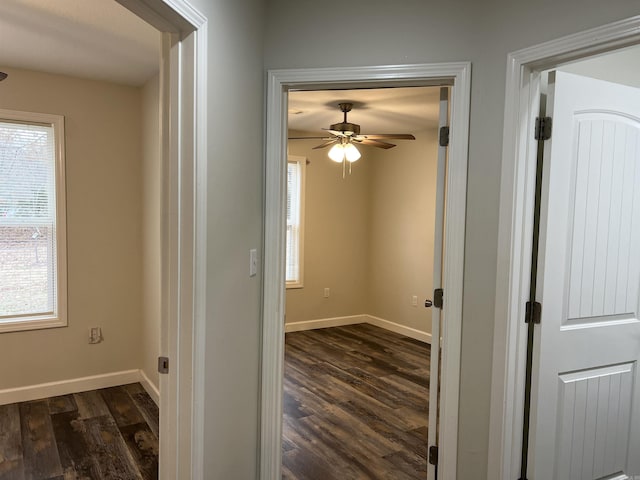 hall featuring dark hardwood / wood-style floors