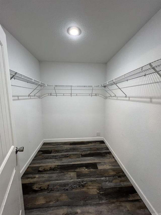 walk in closet with dark hardwood / wood-style flooring