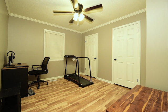 exercise room featuring light hardwood / wood-style flooring, ceiling fan, and crown molding