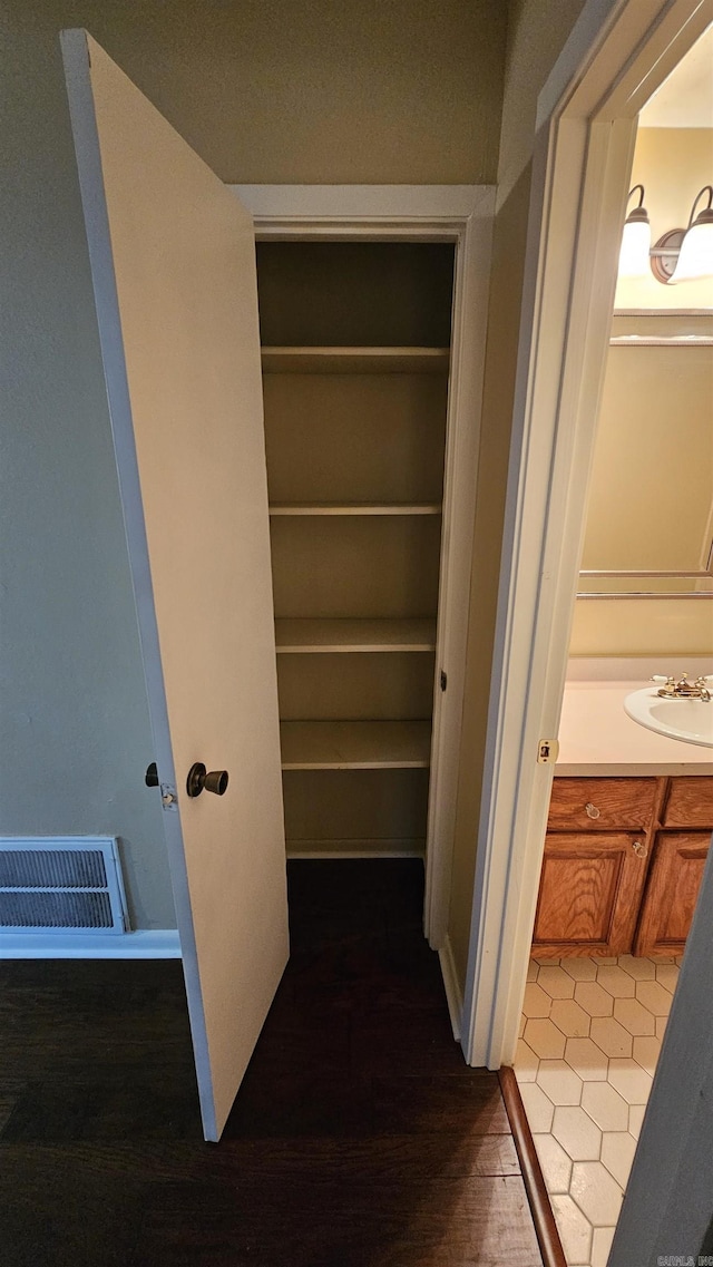 closet featuring sink