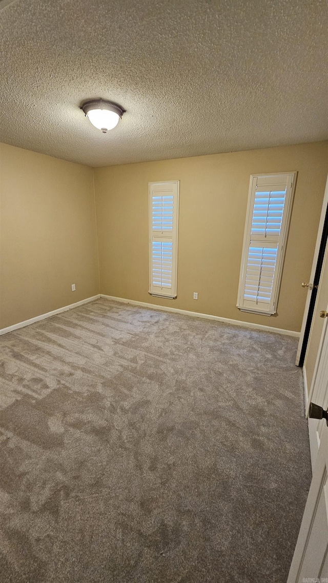 carpeted empty room with a wealth of natural light and a textured ceiling