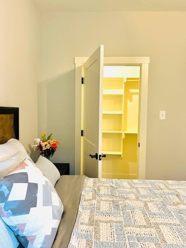 bedroom featuring a walk in closet and a closet