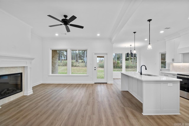 kitchen featuring sink, light hardwood / wood-style flooring, a healthy amount of sunlight, and an island with sink