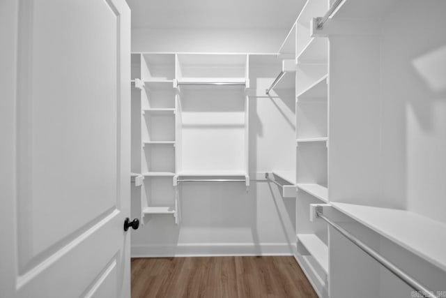 spacious closet with dark hardwood / wood-style floors