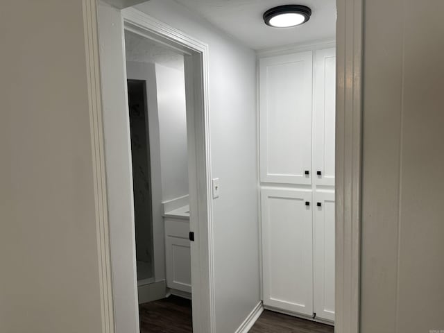 hallway featuring dark hardwood / wood-style floors