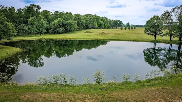 view of water feature