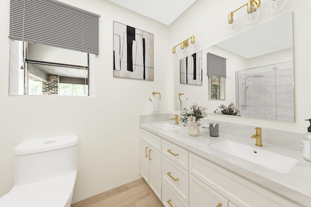 bathroom with toilet, vanity, wood-type flooring, and walk in shower