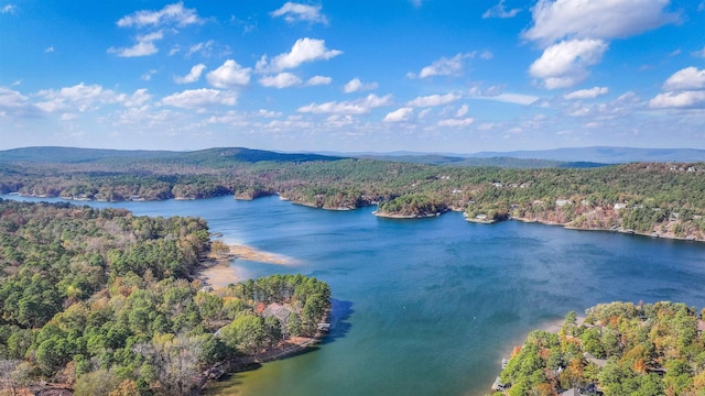 birds eye view of property with a water and mountain view