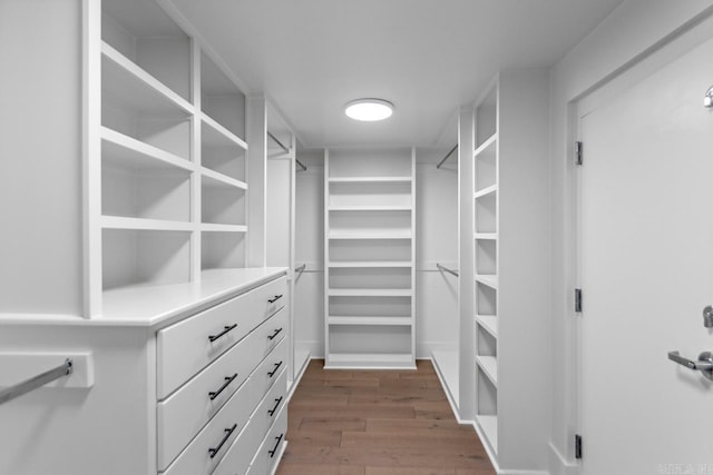 spacious closet with wood-type flooring