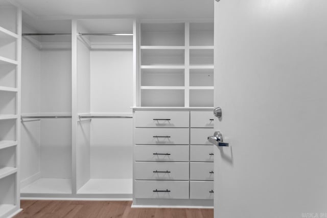 walk in closet with light wood-type flooring