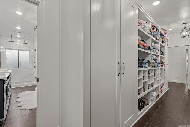 walk in closet with dark hardwood / wood-style flooring