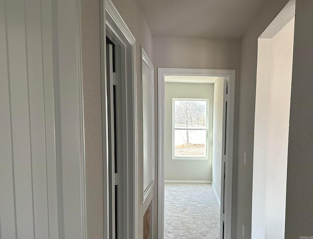 hallway featuring light colored carpet