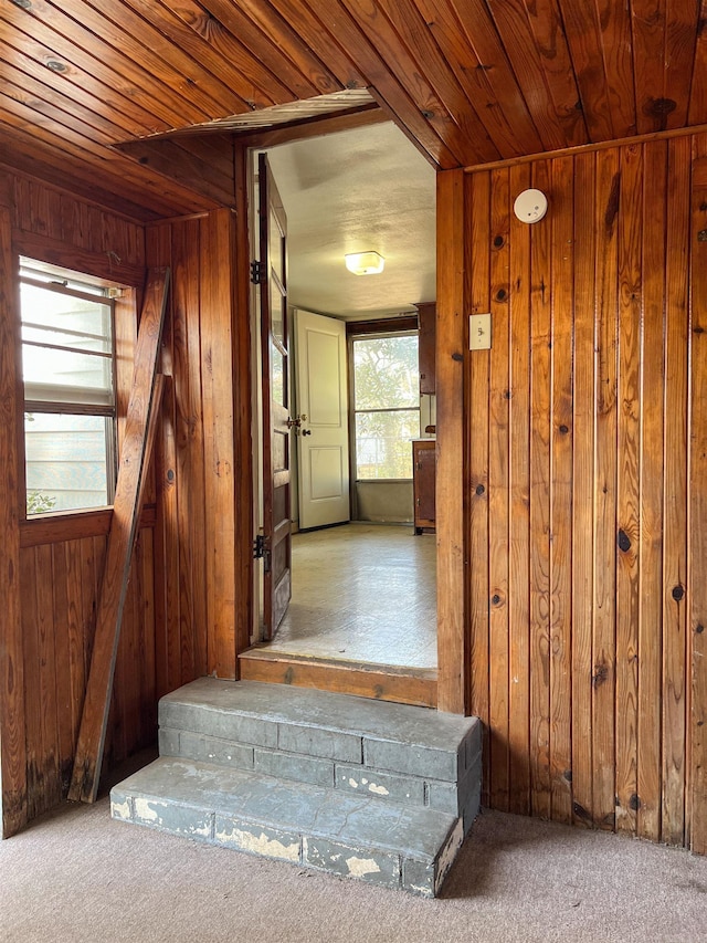 hallway with wooden walls, carpet floors, and wooden ceiling