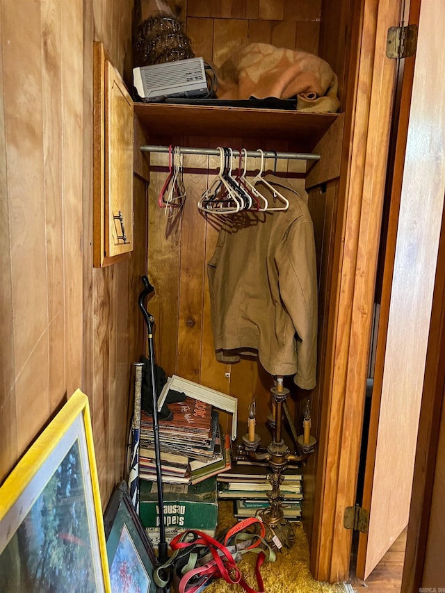 view of closet