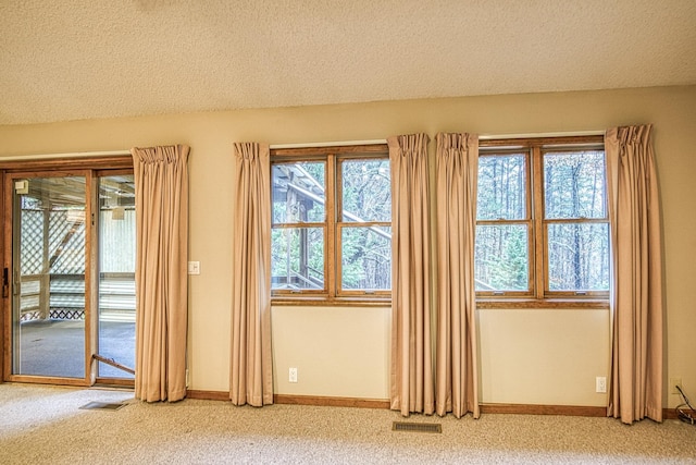 room details with a textured ceiling and carpet floors