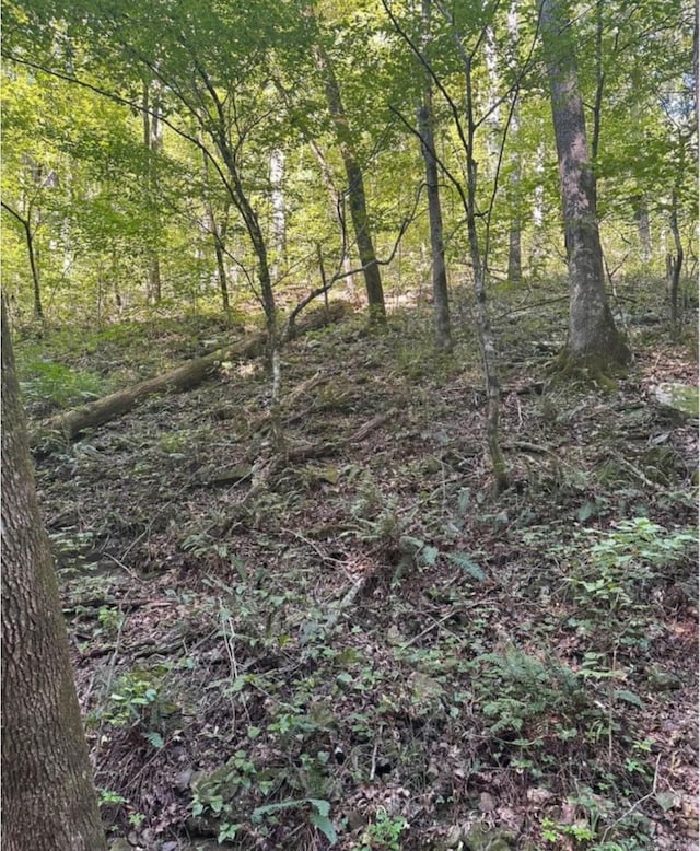 1289 Dodd Mtn, Shirley AR, 72153 land for sale