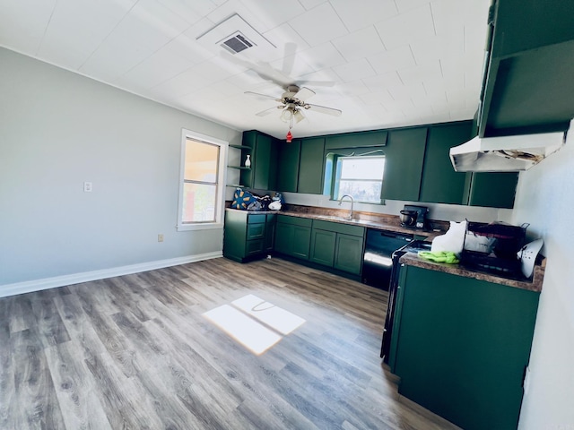 kitchen with ceiling fan, light hardwood / wood-style flooring, and sink