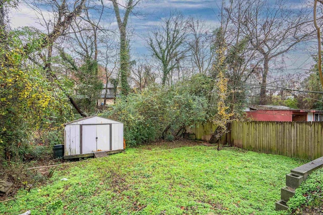 view of yard with a shed