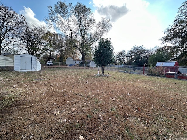 view of yard featuring a shed