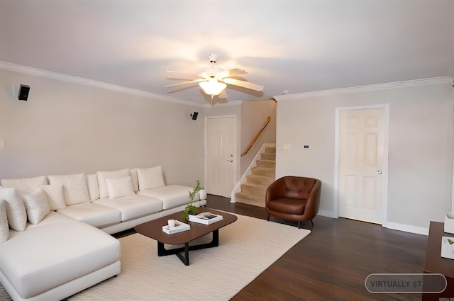 living room featuring dark hardwood / wood-style flooring, ceiling fan, and crown molding