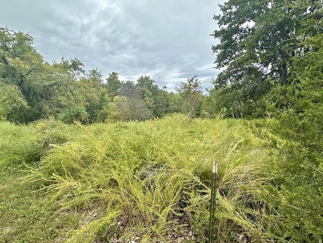 Listing photo 3 for LOT50 9 Mile Ridge Rd, Hardy AR 72542