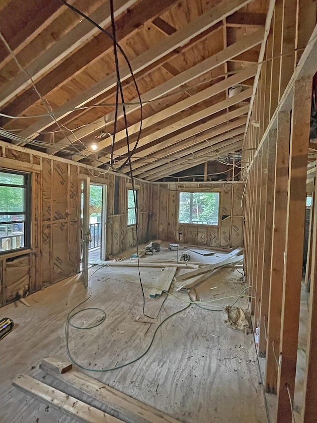 miscellaneous room featuring a wealth of natural light and vaulted ceiling