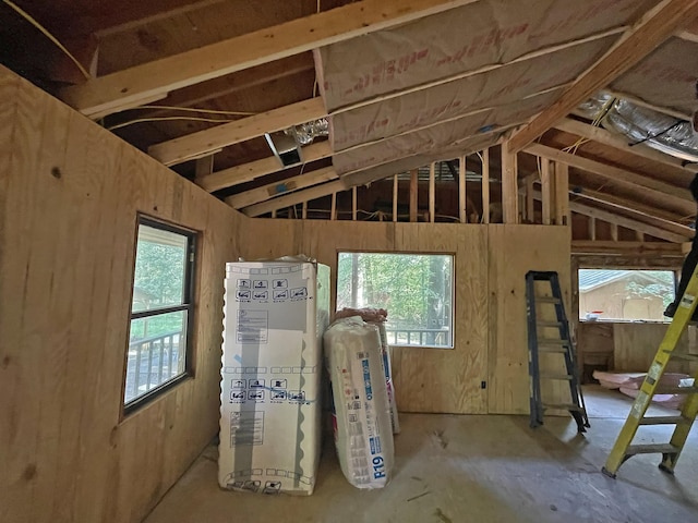 miscellaneous room with vaulted ceiling and a healthy amount of sunlight