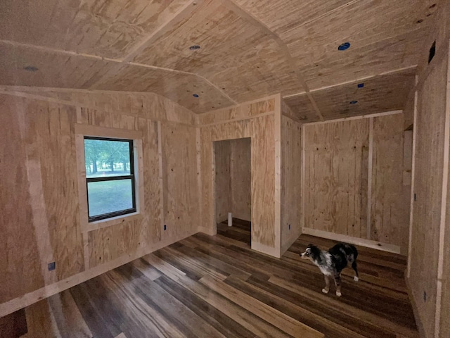 unfurnished room with dark hardwood / wood-style flooring and lofted ceiling