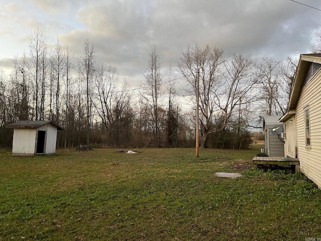 view of yard featuring a storage unit