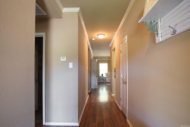 hallway featuring dark wood-type flooring and crown molding