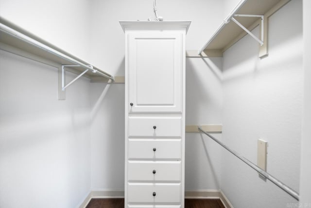 spacious closet featuring dark hardwood / wood-style flooring