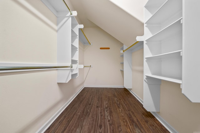 spacious closet with dark hardwood / wood-style floors