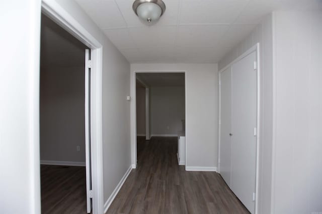 hallway with a drop ceiling and dark hardwood / wood-style flooring