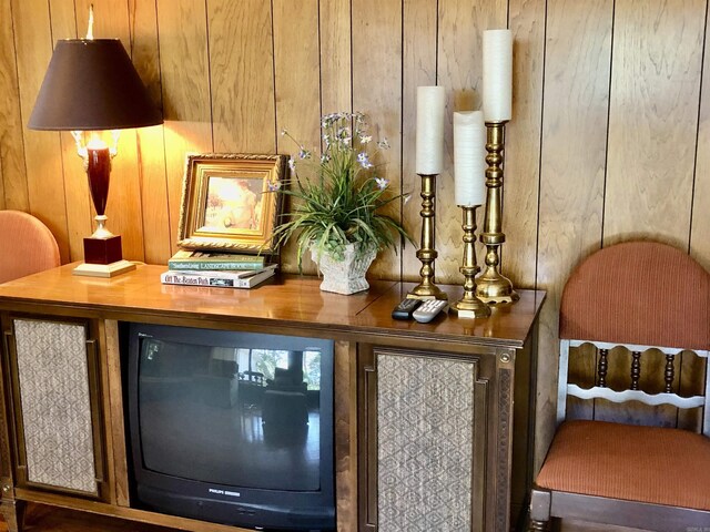 room details featuring wood walls