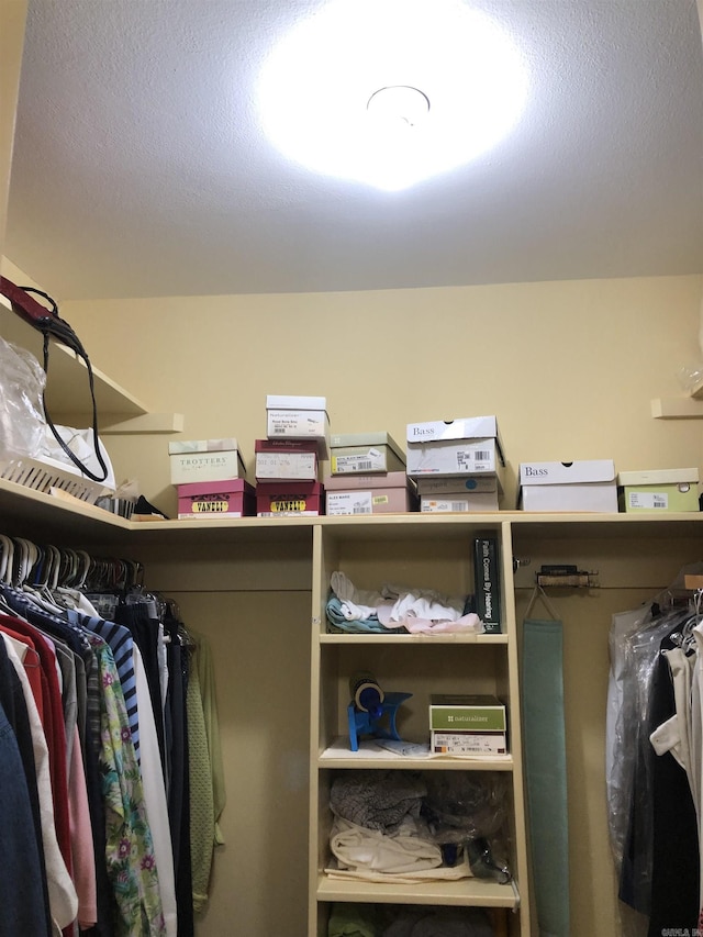 view of walk in closet