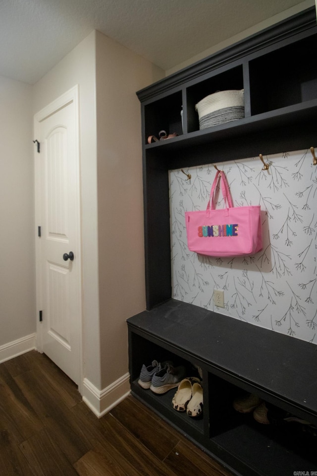 mudroom featuring dark hardwood / wood-style floors