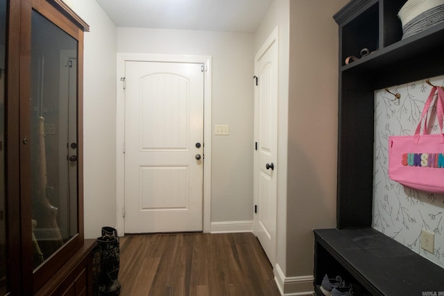 mudroom with dark hardwood / wood-style floors