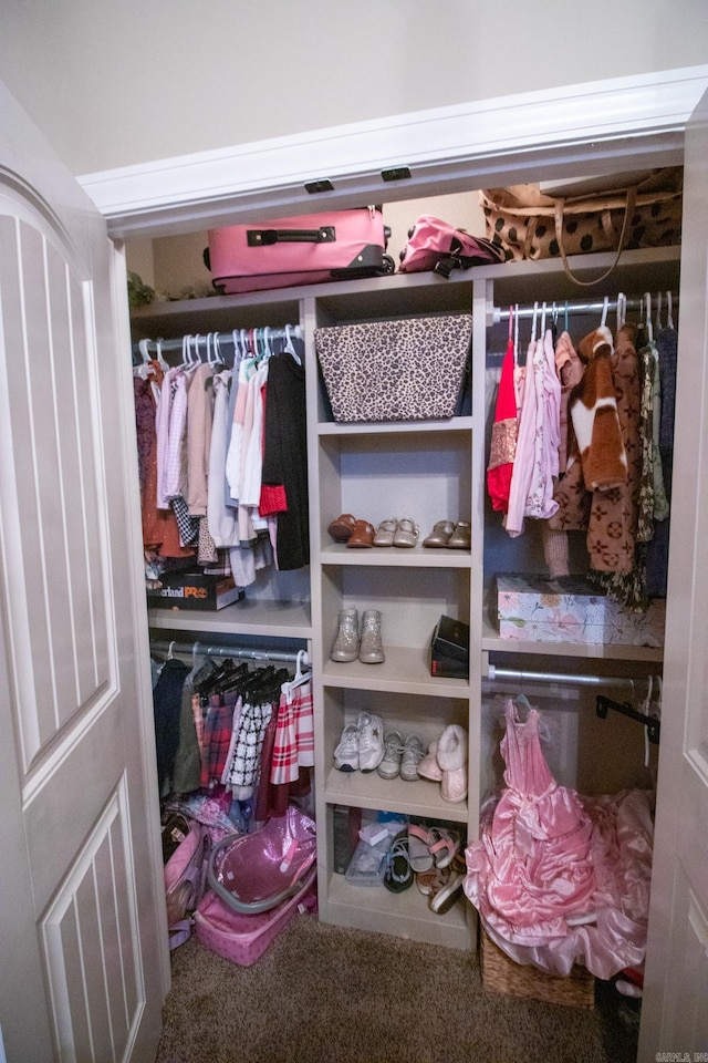 view of closet