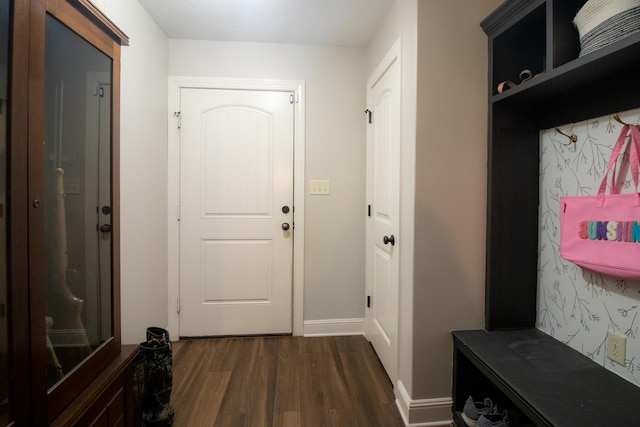 mudroom featuring dark hardwood / wood-style flooring