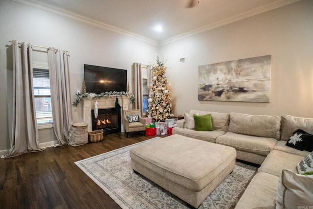 living room featuring dark hardwood / wood-style flooring and crown molding