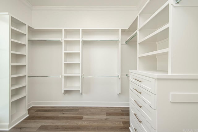 walk in closet with dark hardwood / wood-style floors