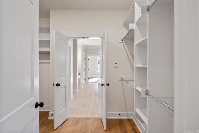 walk in closet featuring light wood-type flooring