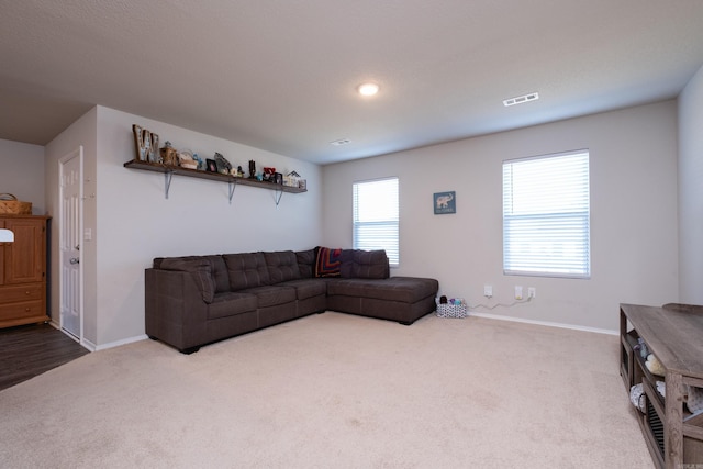 view of carpeted living room