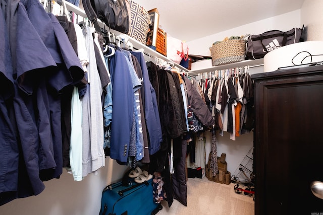 walk in closet featuring carpet