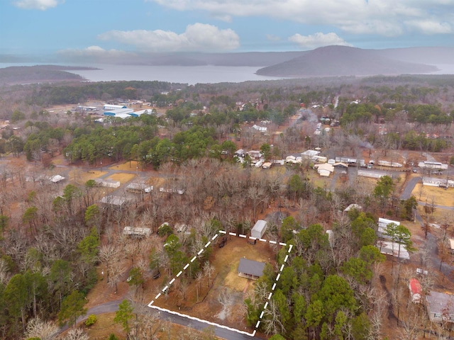 birds eye view of property with a mountain view