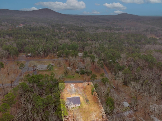 bird's eye view with a mountain view