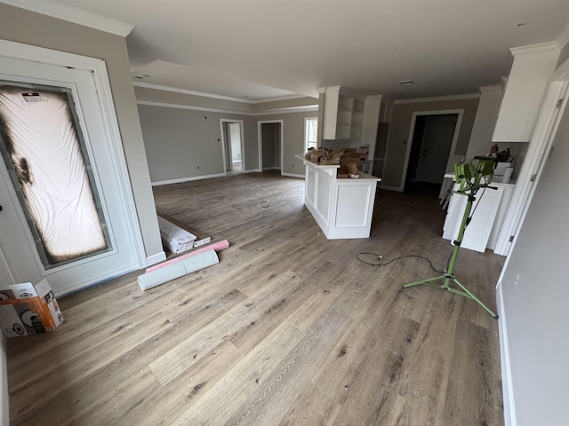 interior space with light wood-type flooring and ornamental molding