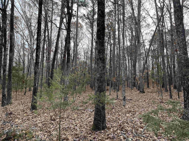 LOT307 Tannenbaum Rd, Drasco AR, 72530 land for sale