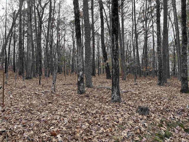 Listing photo 3 for LOT307 Tannenbaum Rd, Drasco AR 72530